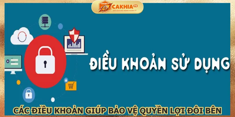 cac-dieu-khoan-giup-bao-ve-quyen-loi-doi-ben