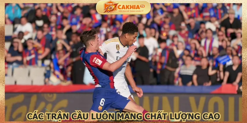 cac-tran-cau-luon-mang-chat-luong-cao