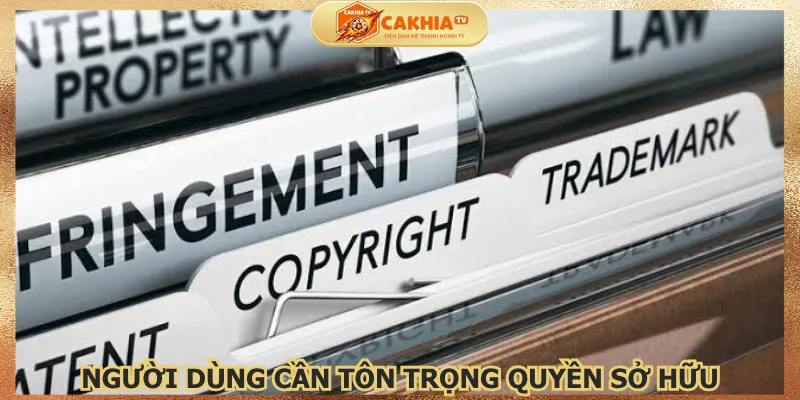 nguoi-dung-can-ton-trong-quyen-so-huu